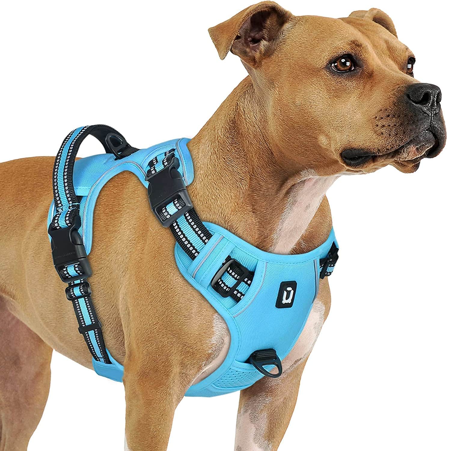 Best Dog Harness For Large Dogs No Pull My Dog Collar