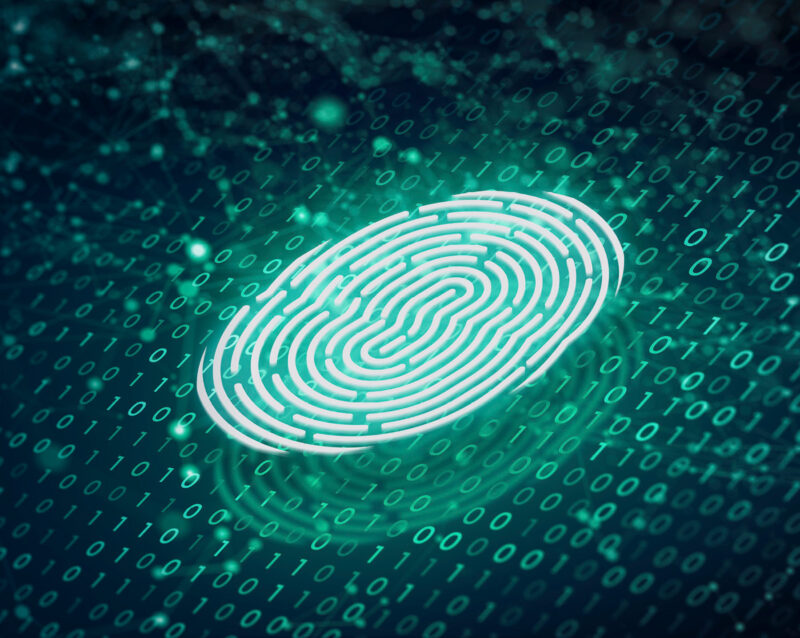 BioEntry W2 - SUPREMASOLUTION