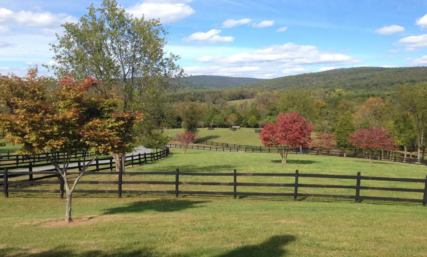 NoReserve Luxury Auctions 76 Acre Horse Ranch & Home For Sale in the West