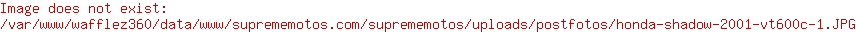 Honda Shadow 2001 VT600C