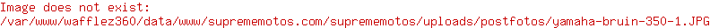 Yamaha bruin 350