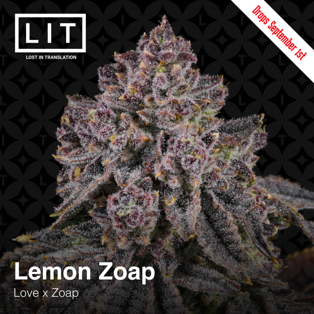 Lit Farms Lemon Zoap (F) 1/2pack Supreme Seed Bank Cannabis Strains