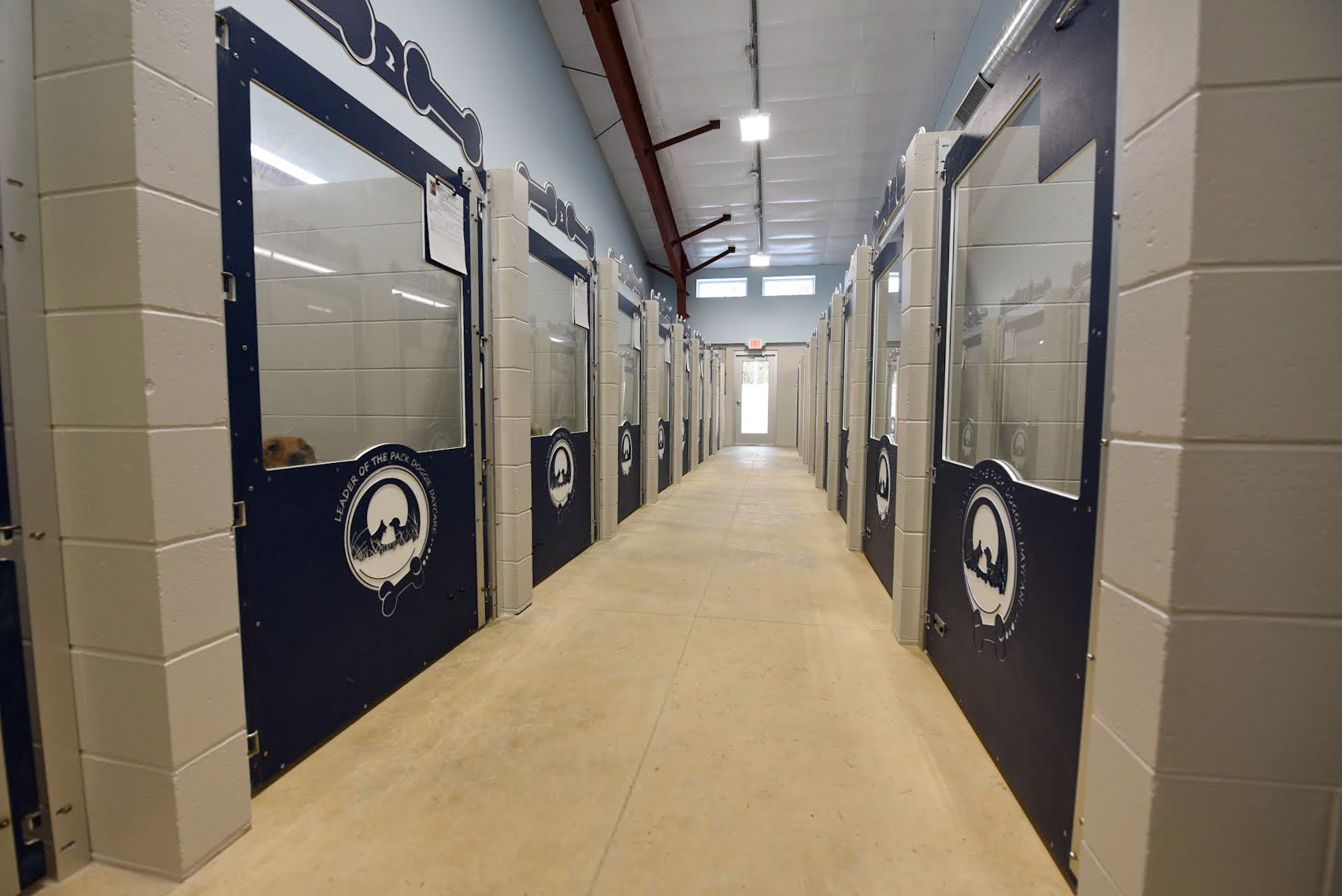 Leader of the Pack Doggie Daycare Supreme Structures, Inc.