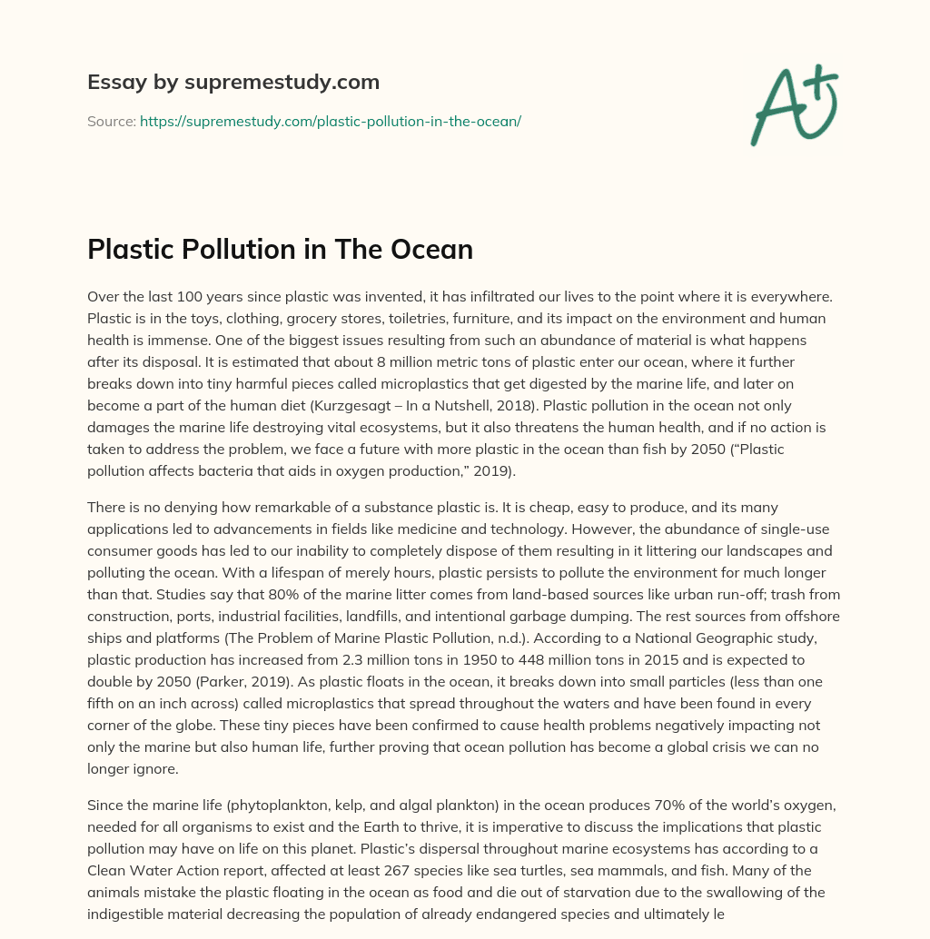 Plastic Pollution in The Ocean Free Essay Example 1352 Words SupremeStudy