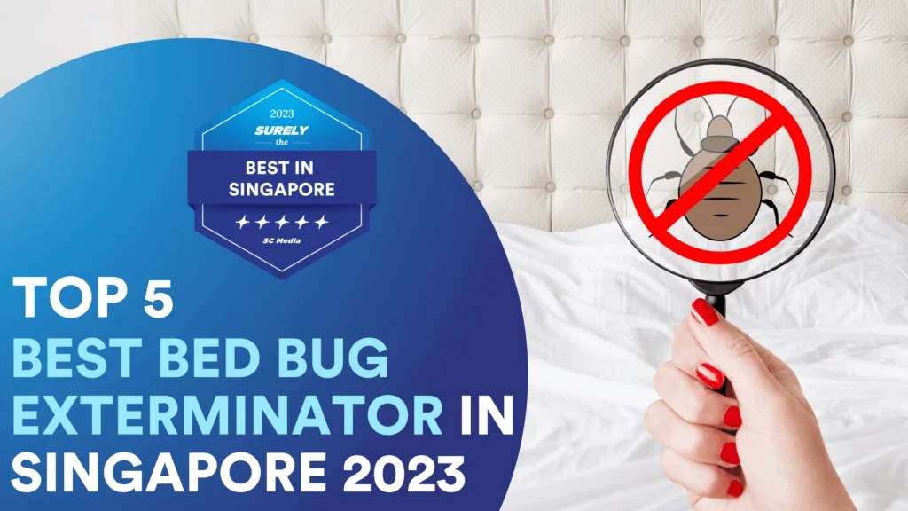 Top 5 Best Bed Bug Exterminator Singapore 2023 Sureclean