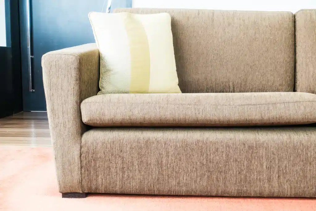 Dust Mites in Sofas Causes, Prevention, and Management Sureclean