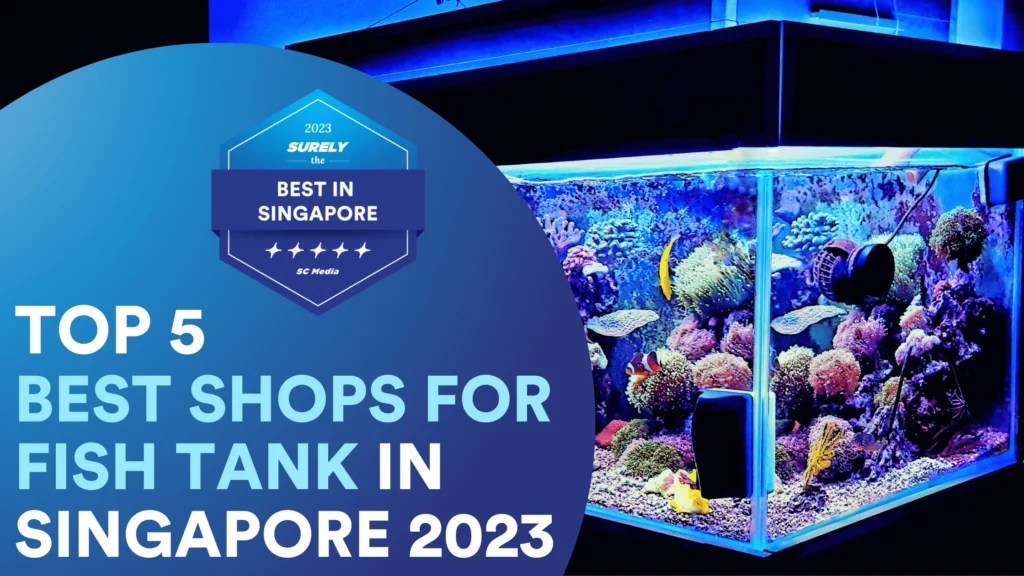5 Best Shops for Fish Tank Singapore to Start Aquascaping 2023