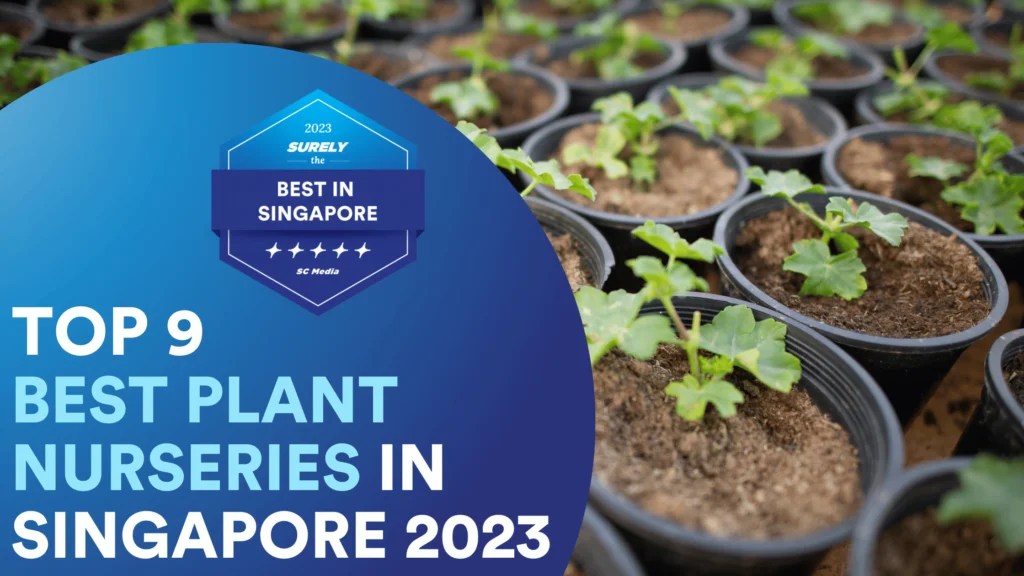 9 Best Plant Nursery Singapore for a Green Life 2023 Sureclean