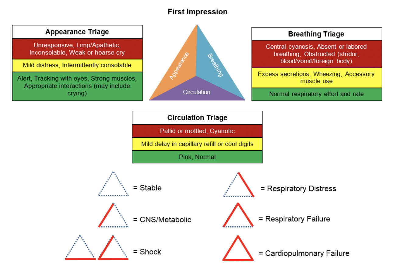 The Ultimate PALS Study Guide