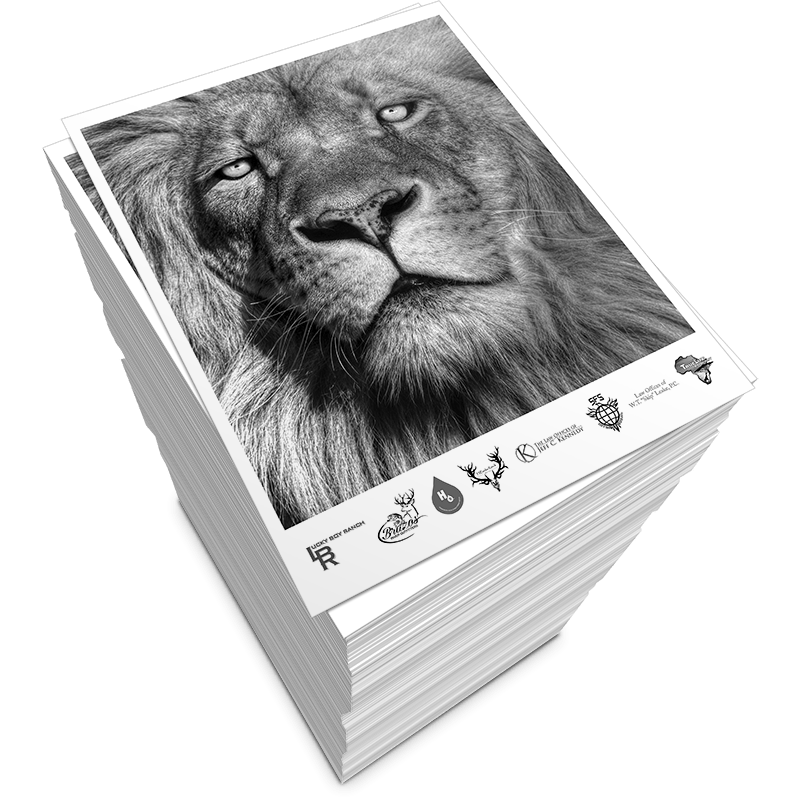 Print & Copy Sure Print & Copy Centre Surrey