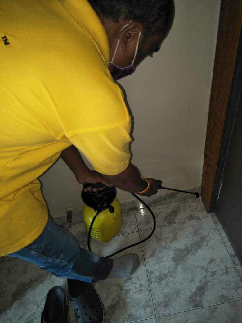 Abide Pest Control Edmond Ok at Michael Johnston blog