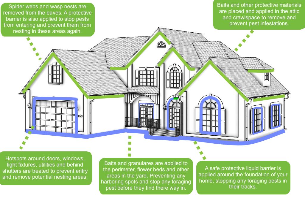 Pest Control Programs Sure Thing Pest Control