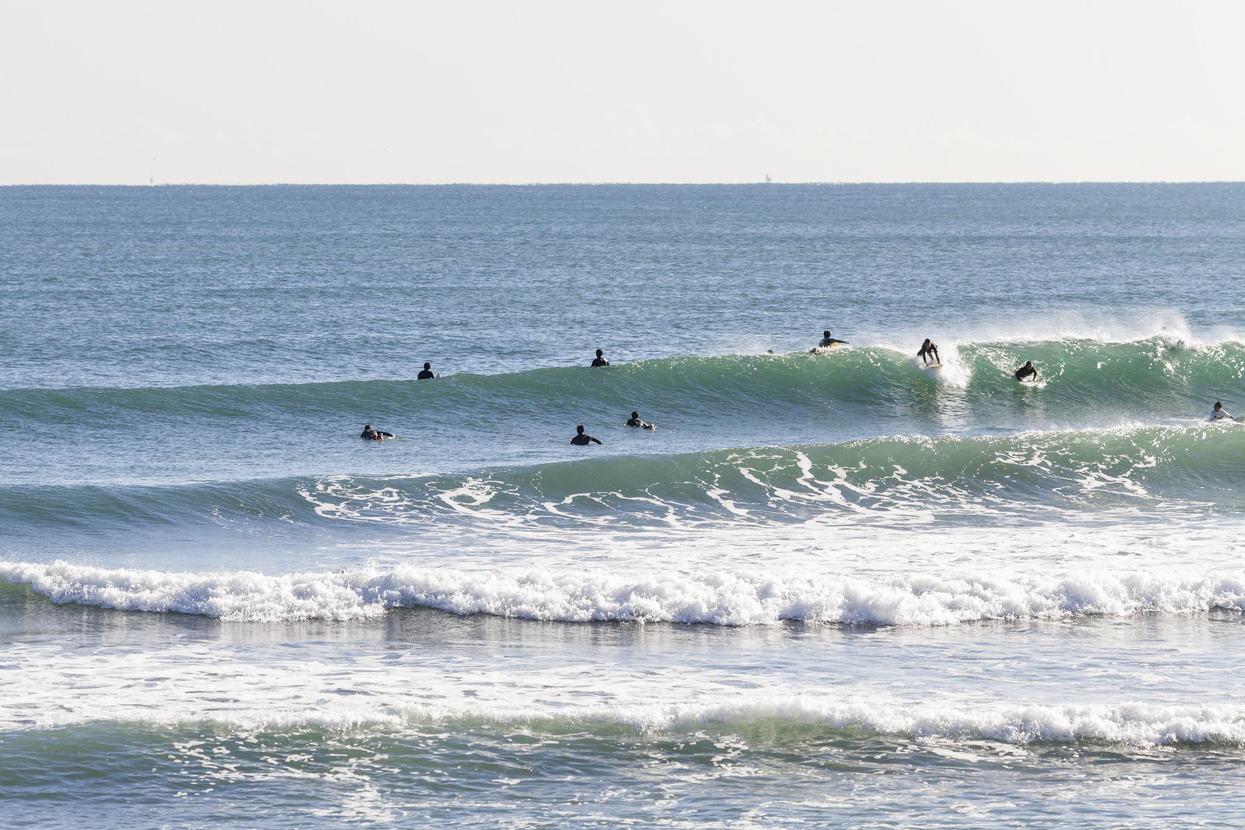 Nov,24 2021南茨城（鹿島灘）/鹿島灘北部の波とサーフィンweekdaySurfReport SURF+(SURF PLUS)
