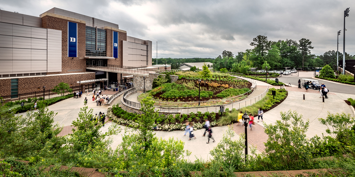 Duke University Wallace Wade Stadium Projects Surface 678