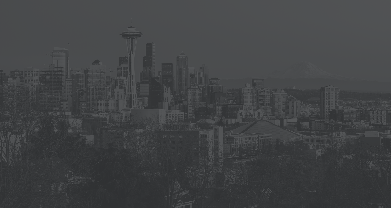 Surface Experts of Central Seattle Surface Experts(08)