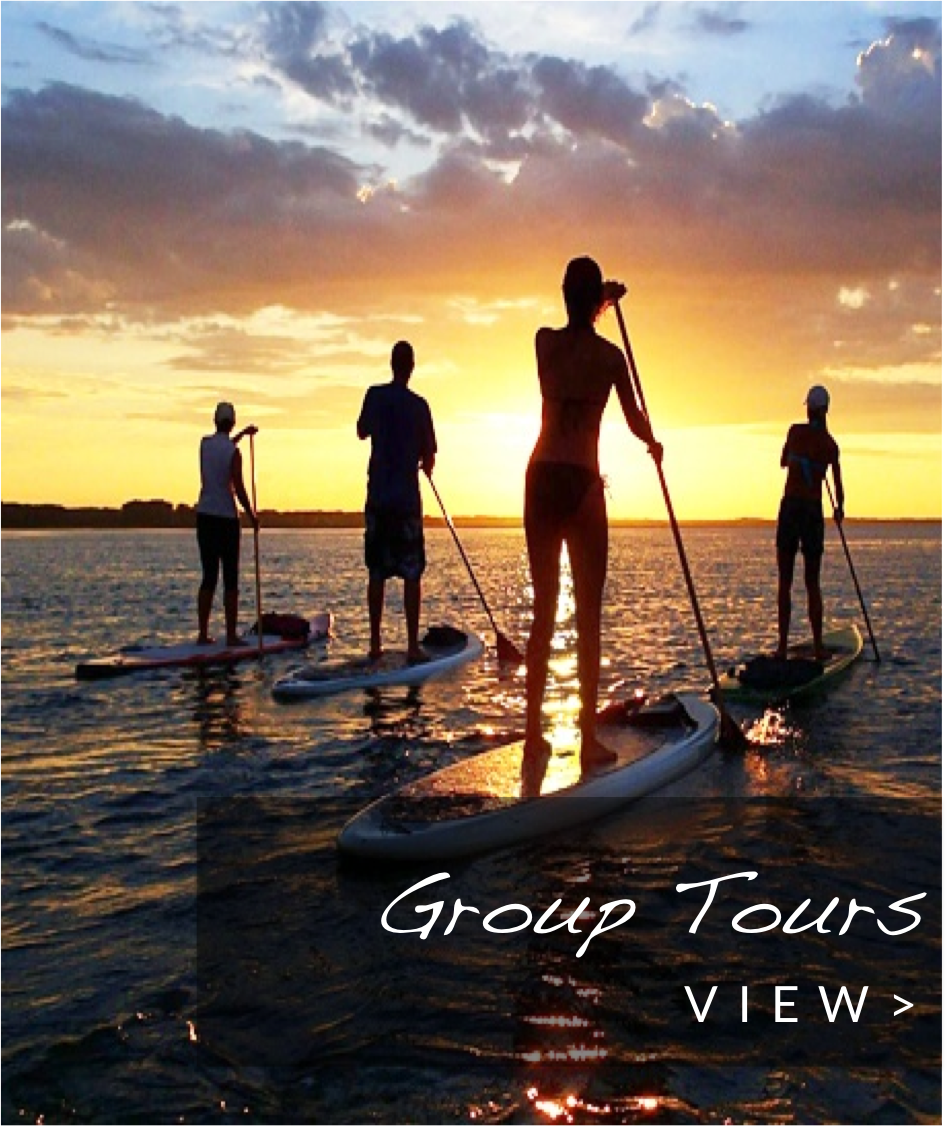 Surfari Willy's Paddleboarding Paddleboarding Winter Park & Central