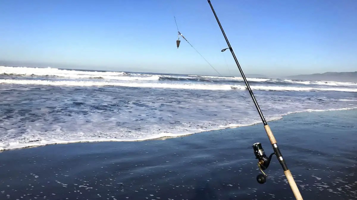 Surf Fishing Guide and Tips for Beginners Surfcasting Republic