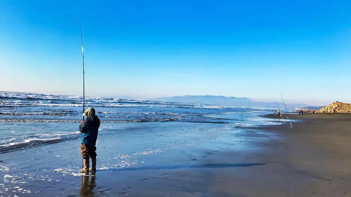 Surf Fishing Guide and Tips for Beginners Surfcasting Republic