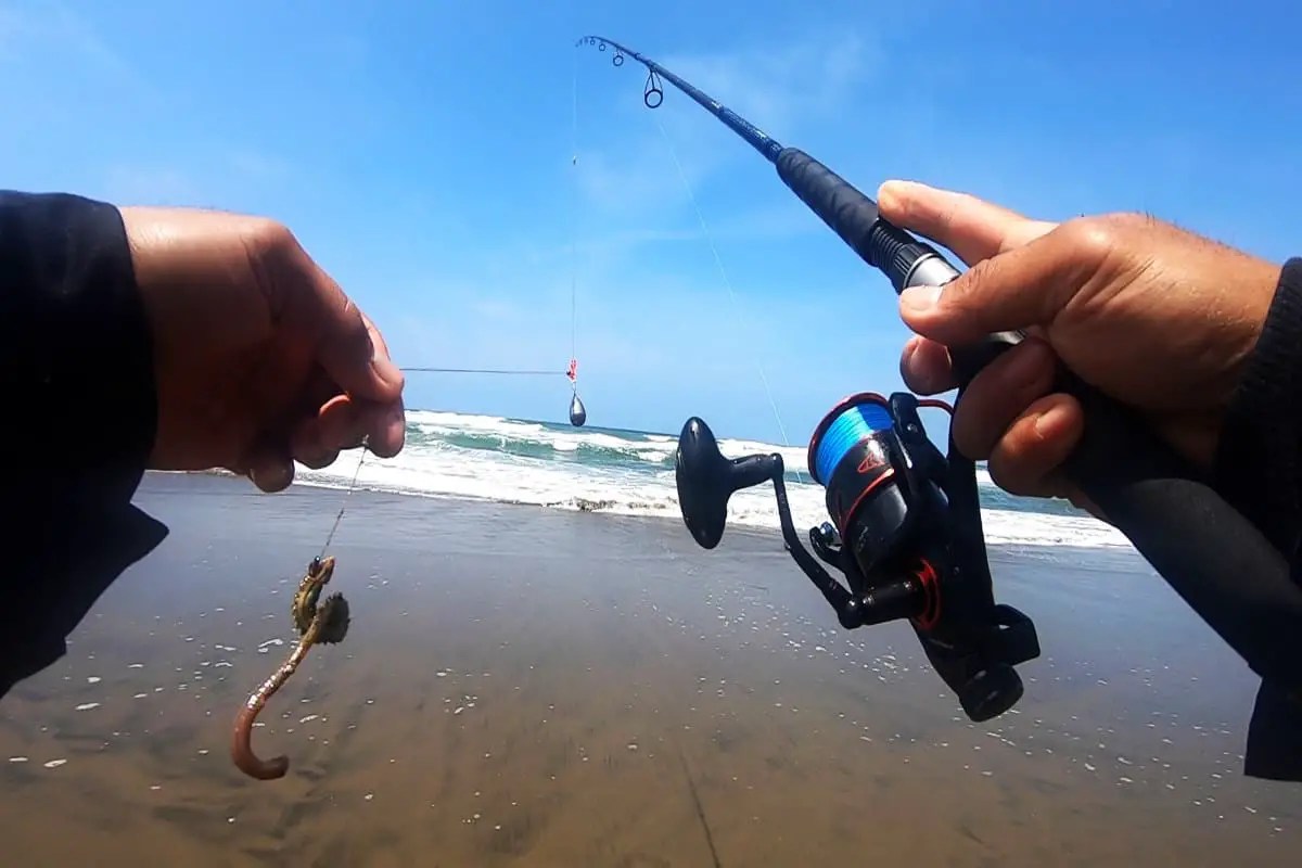 What Is The Difference Between Shock Leader And A Regular Leader