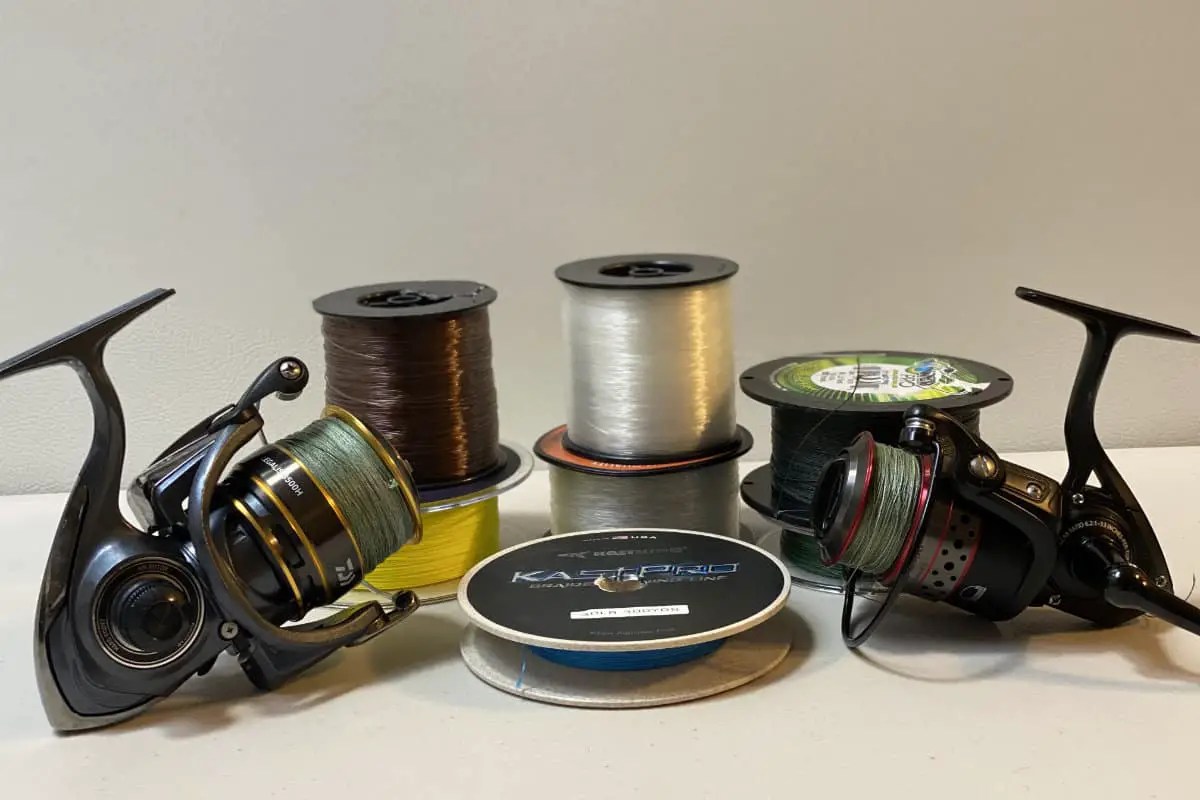 Is Braid or Mono Better for Surf Fishing? Surfcasting Republic