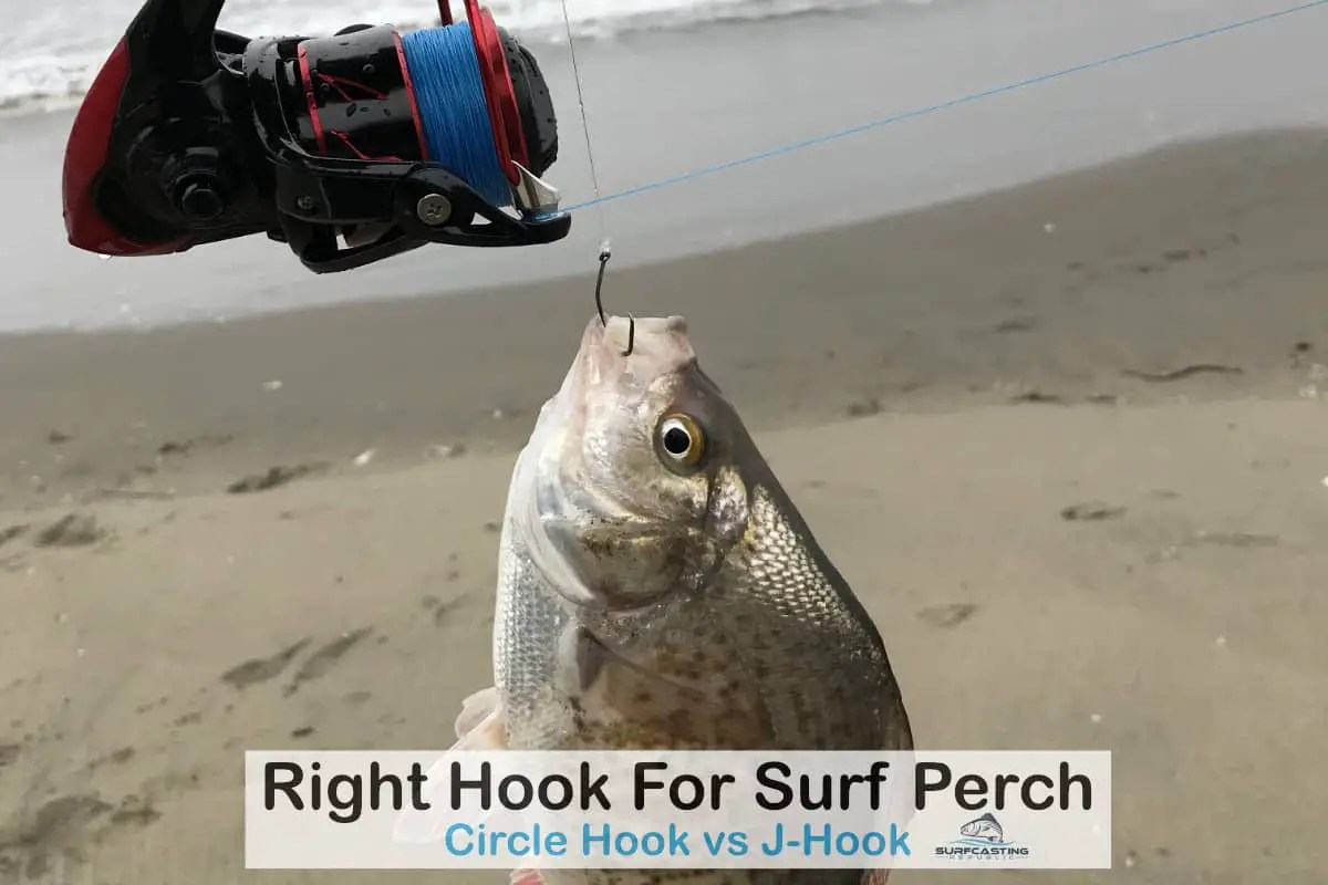 How To Select the Right Hook for Surfperch? Surfcasting Republic