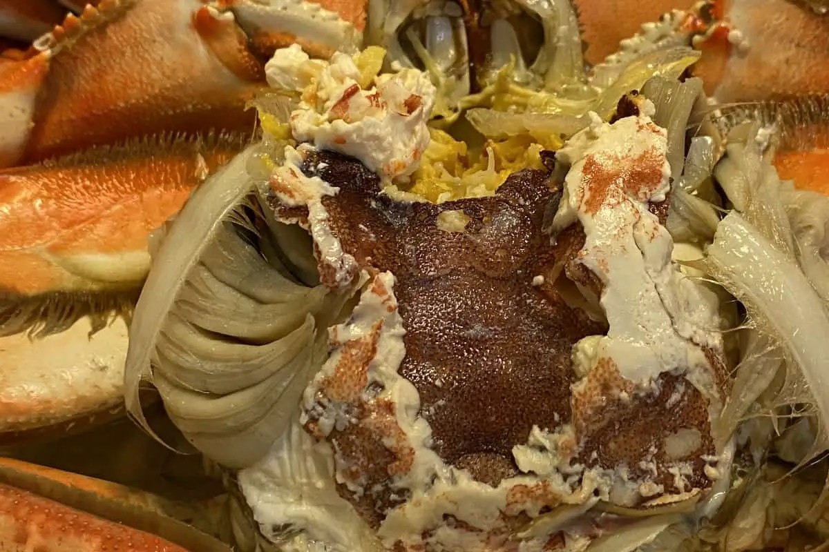 Is Dungeness Crab Safe to Eat? Surfcasting Republic