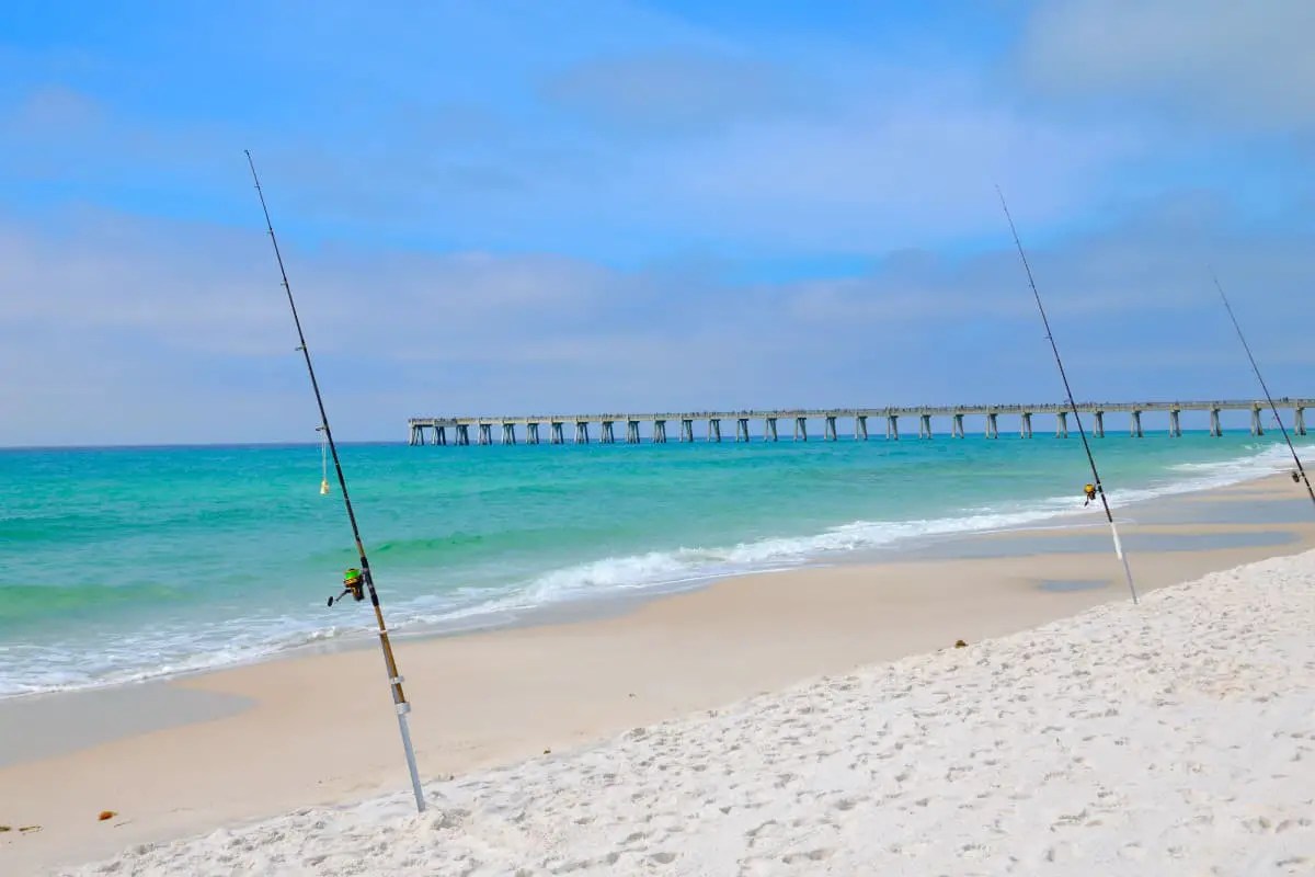 What Kind of Fish Can You Catch Surf Fishing in Florida? Surfcasting