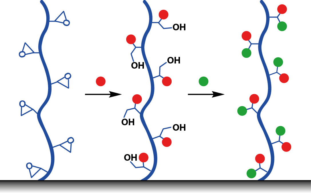 Polymer Brushes Organic Surface Chemistry