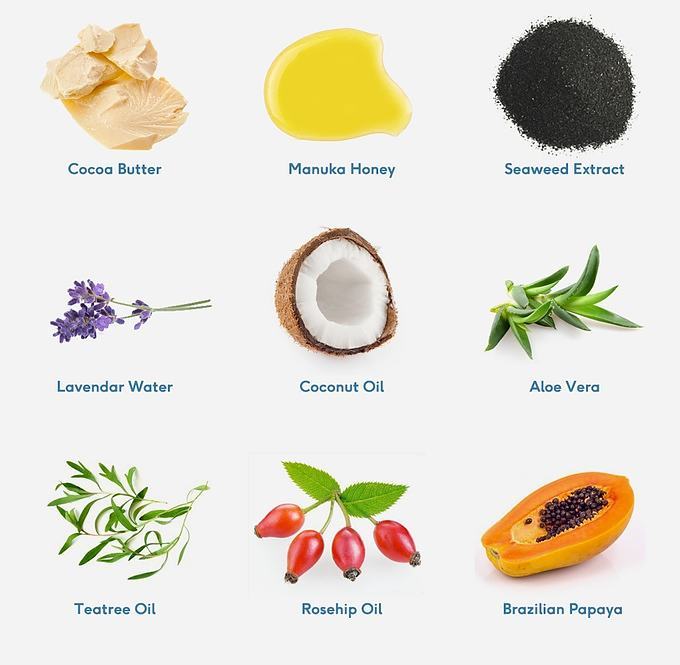 A Mammoth Undertaking Surfd