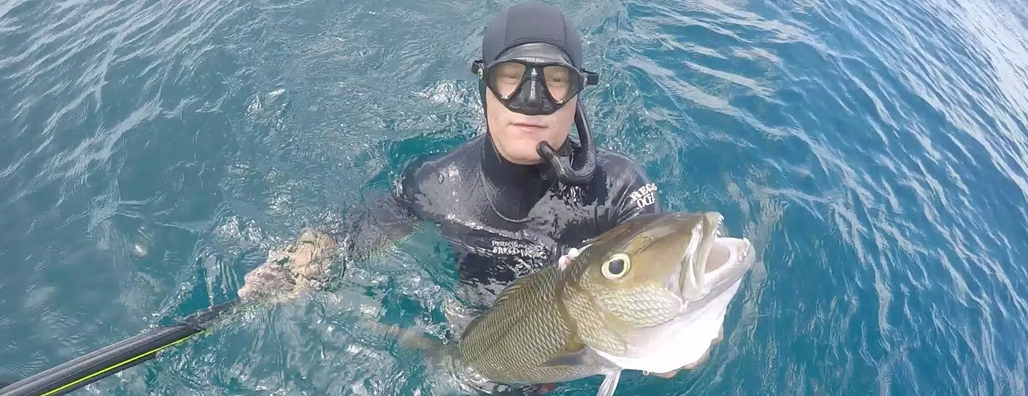 Benjamin Zyons Surfears