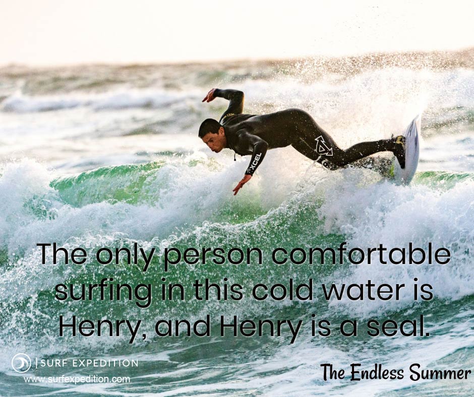 40 Surf Quotes That Will Inspire You to Surf SURF EXPEDITION