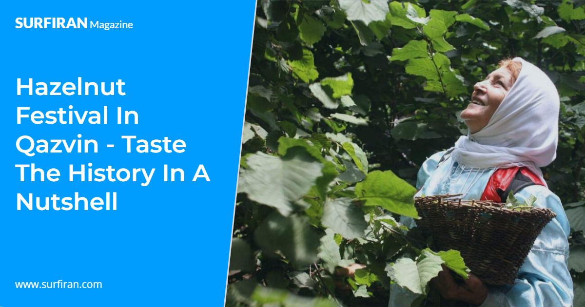 Hazelnut Festival in Qazvin Taste the History in a Nutshell SURFIRAN