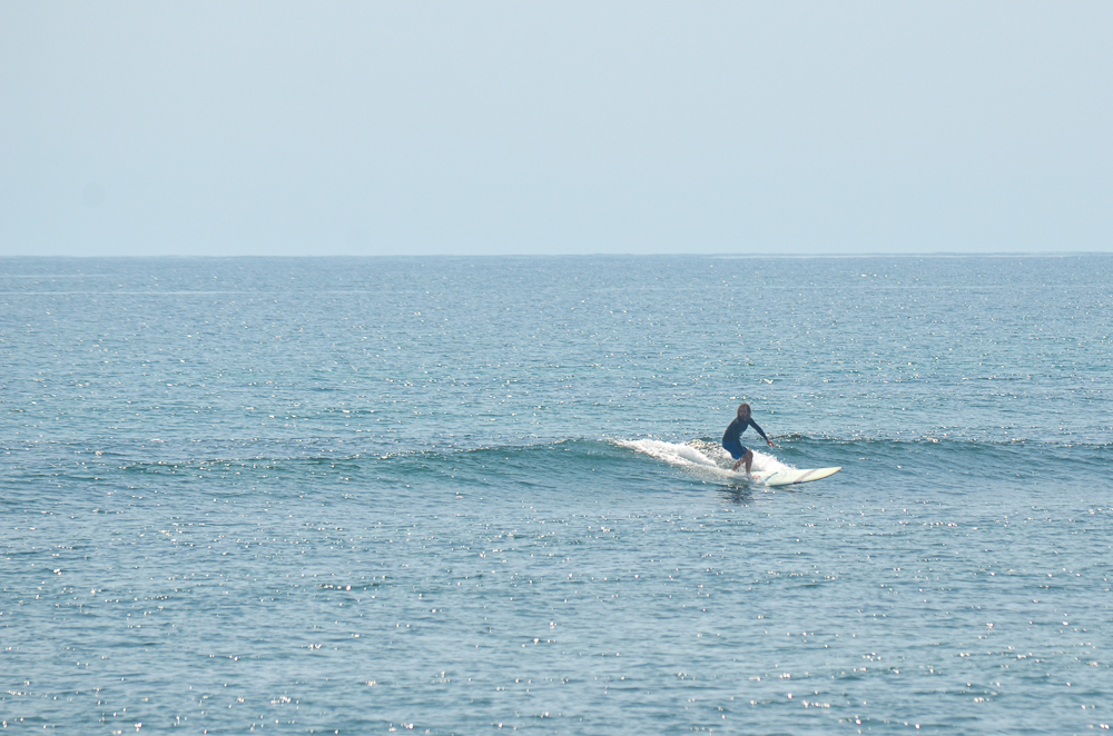 Surfing Martha’s Vineyard Surf is Swell
