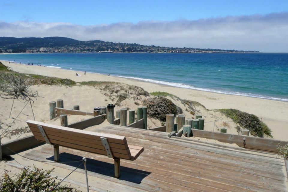 Neighborhood Surfside Apartments