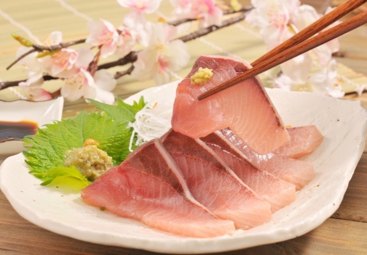 Yellowtail Fish A Complete Guide Surf's Up Magazine