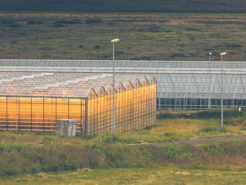 How To Build A Geothermal Greenhouse? (+ Effective Materials)