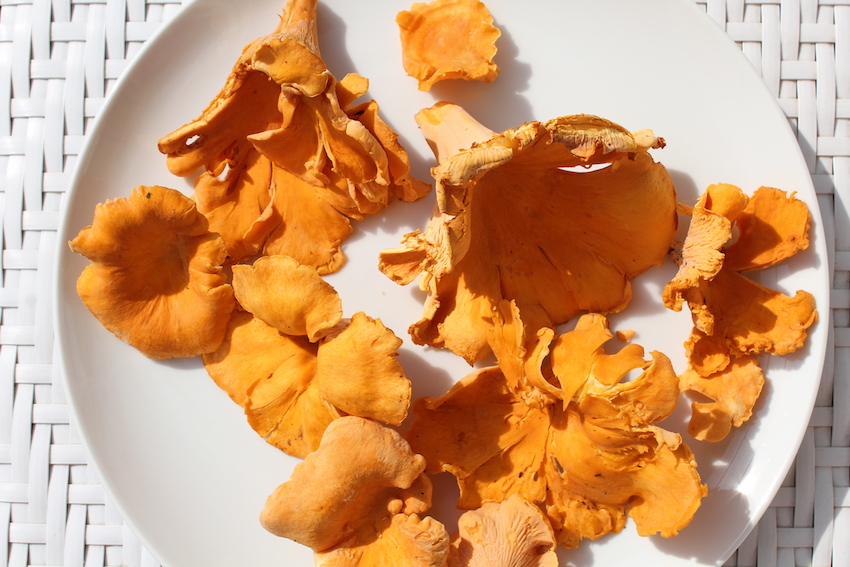 Cooking with Golden Chanterelles Chanterelle Mushroom SautéSur Le Plat