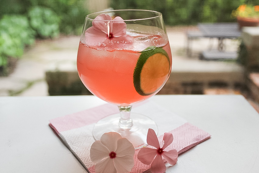 Rhubarb Ginger Gin Fizz Summer Cocktail Recipe Sur Le PlatSur Le Plat