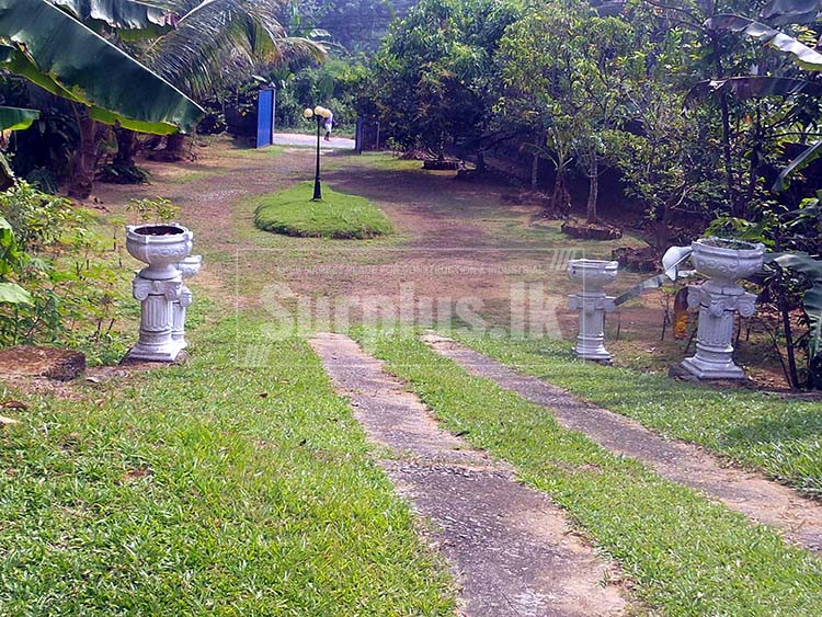 Beautiful House Property for Sale in Avissawella. Surplus