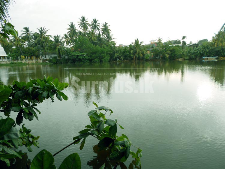 River Frontage Luxury Villa for Sale or Lease in Galle SRI LANKA. Surplus