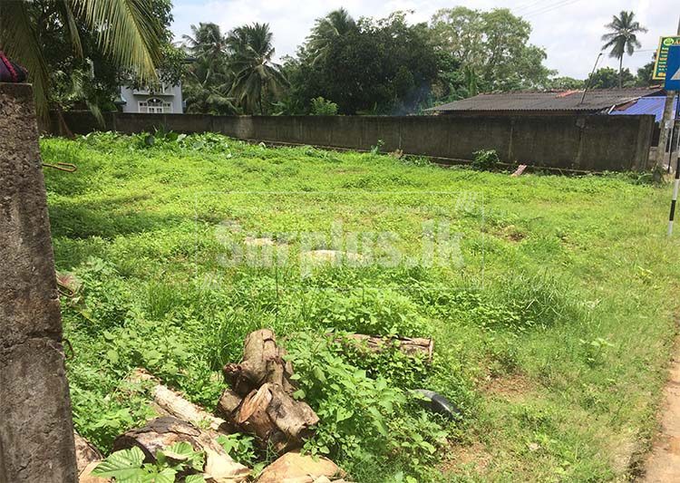 Commercial Land for Sale Bandaragama Panadura. Surplus
