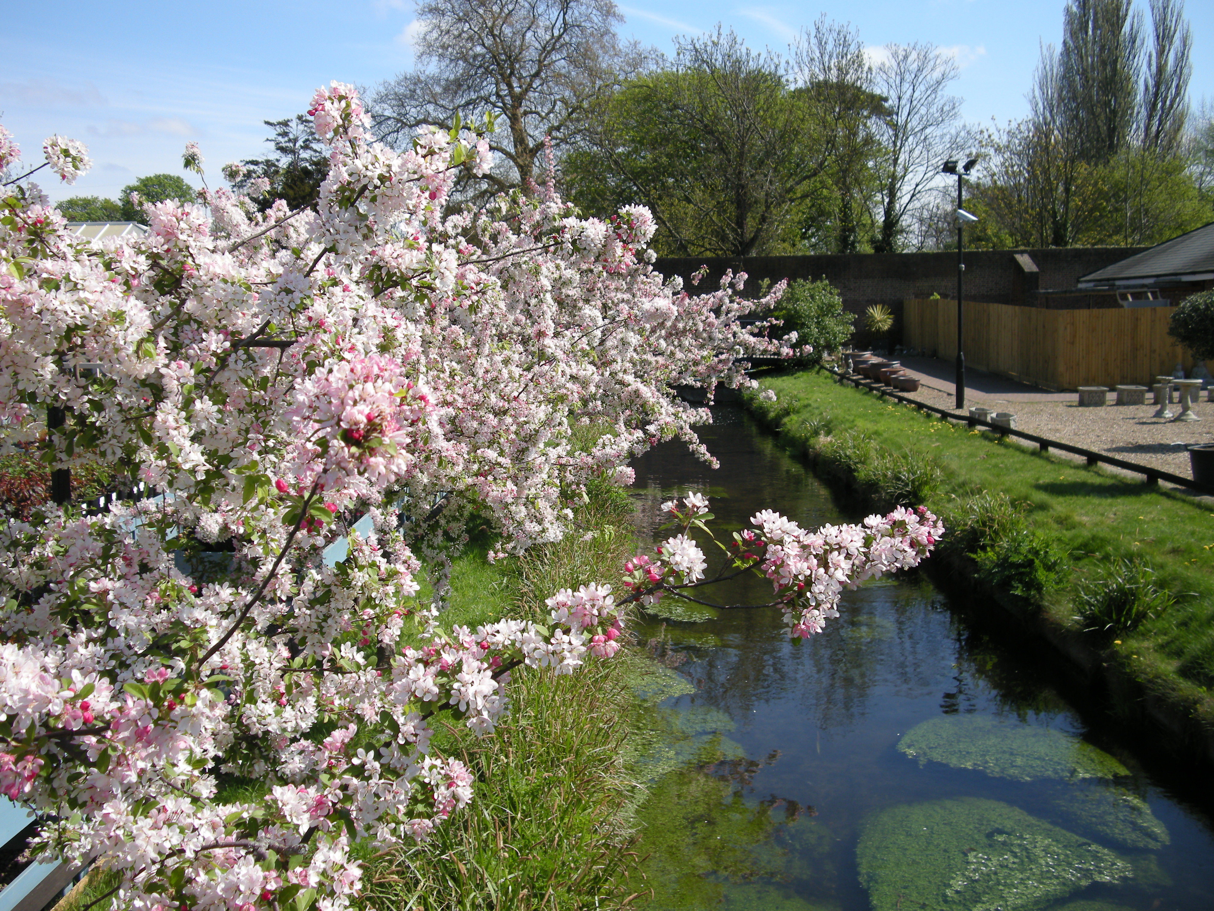 Morden Hall Park The Surrey Edit