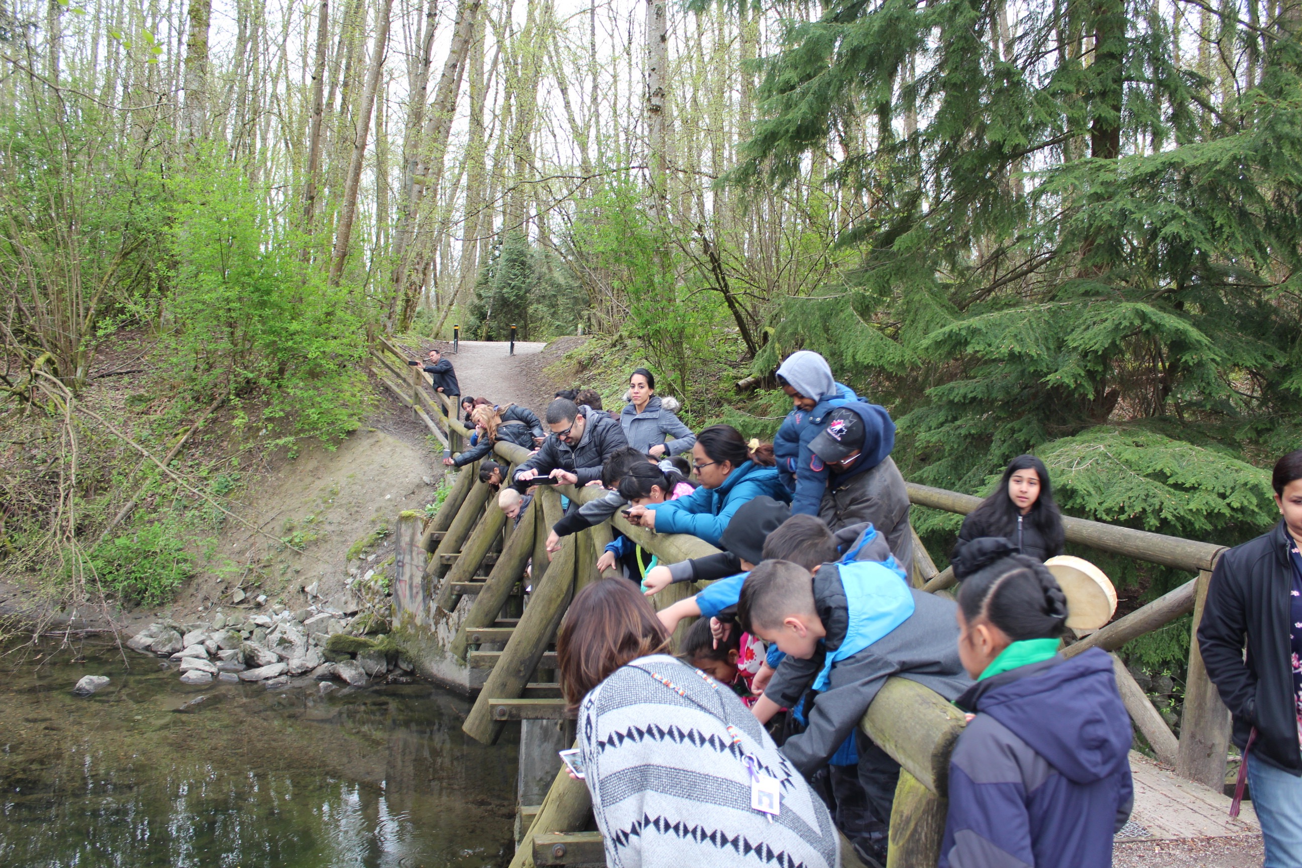 Releasing salmon back to Bear Creek