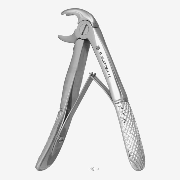 Klein Pattern Tooth Extraction Forceps Fig. 6 SURTEX®
