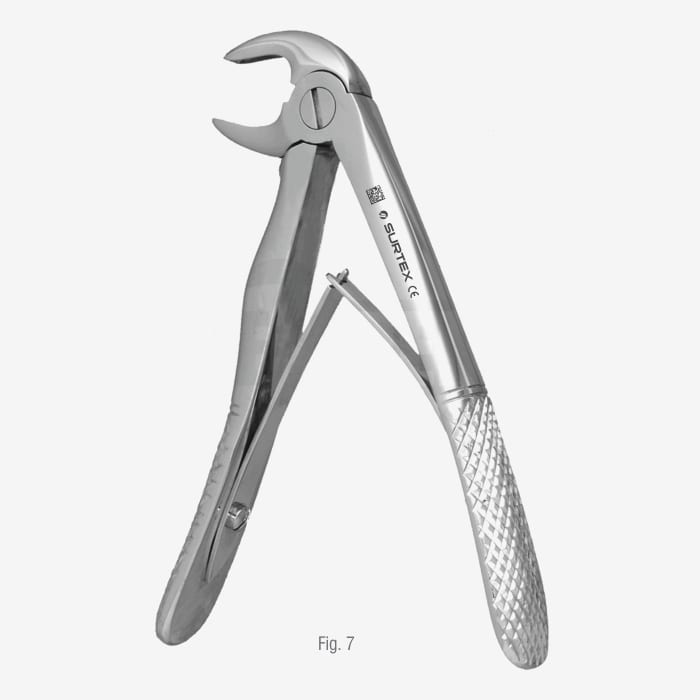 Klein Pattern Tooth Extraction Forceps Fig. 7 SURTEX®