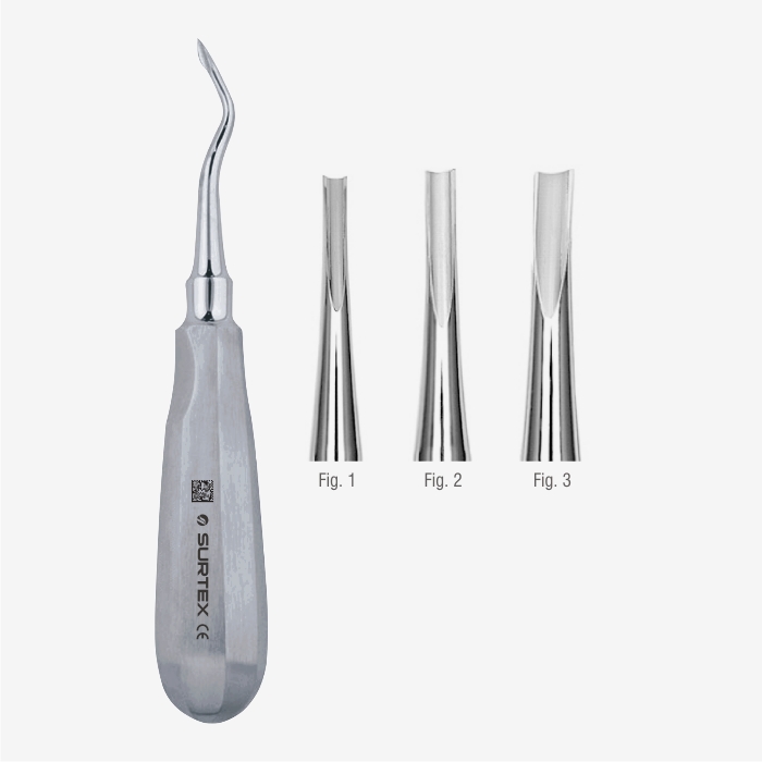 Coupland Root Elevator Surtex