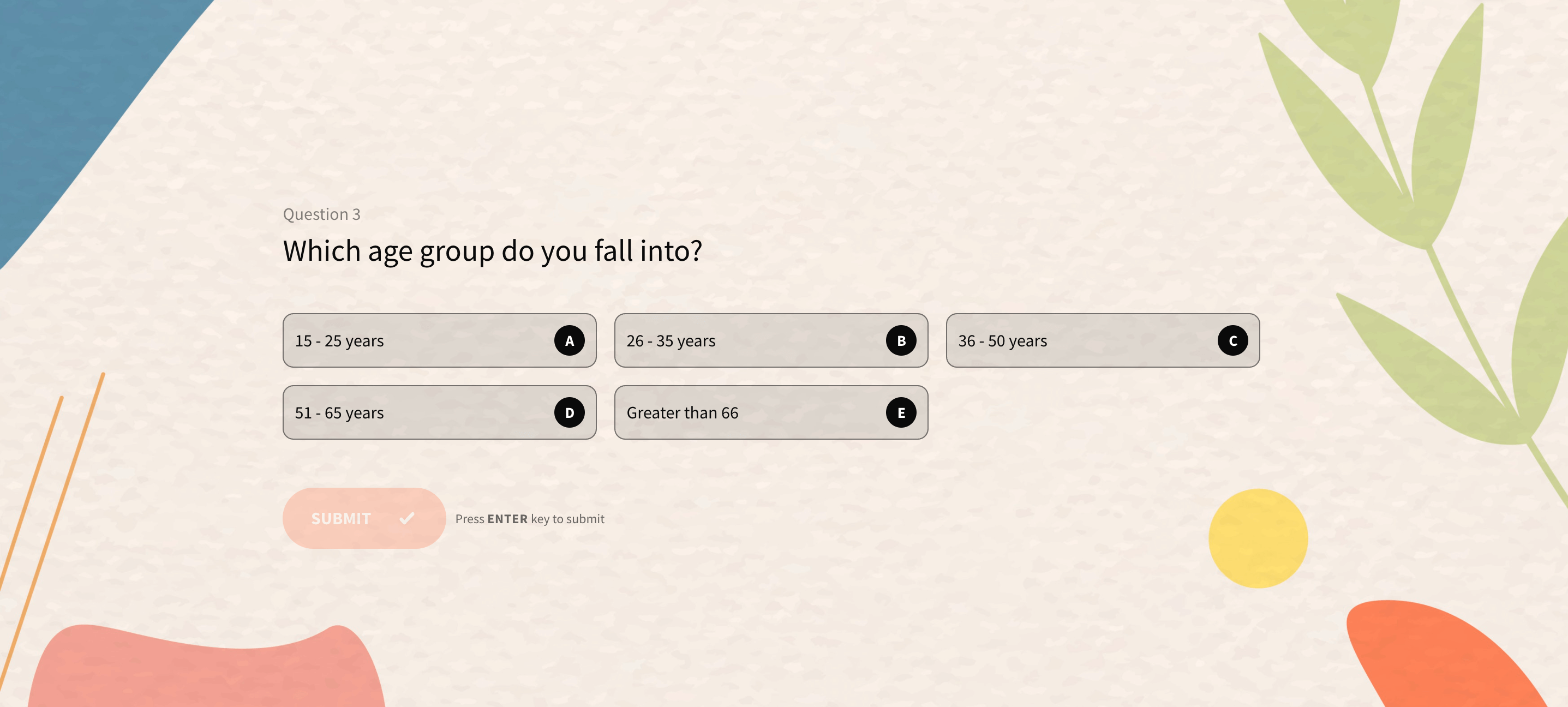 Ratio Scale Everything You Need to Know