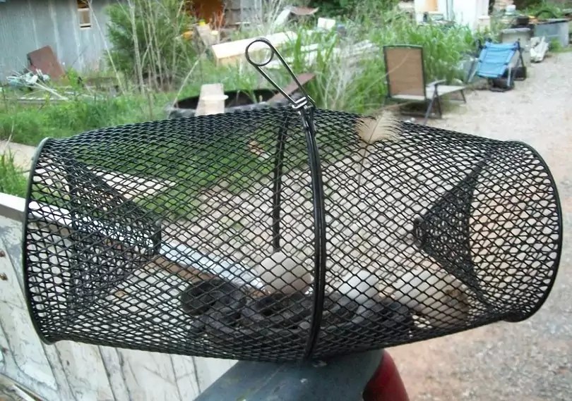 Electric Fan Guard Snake Trap... The FAL Files