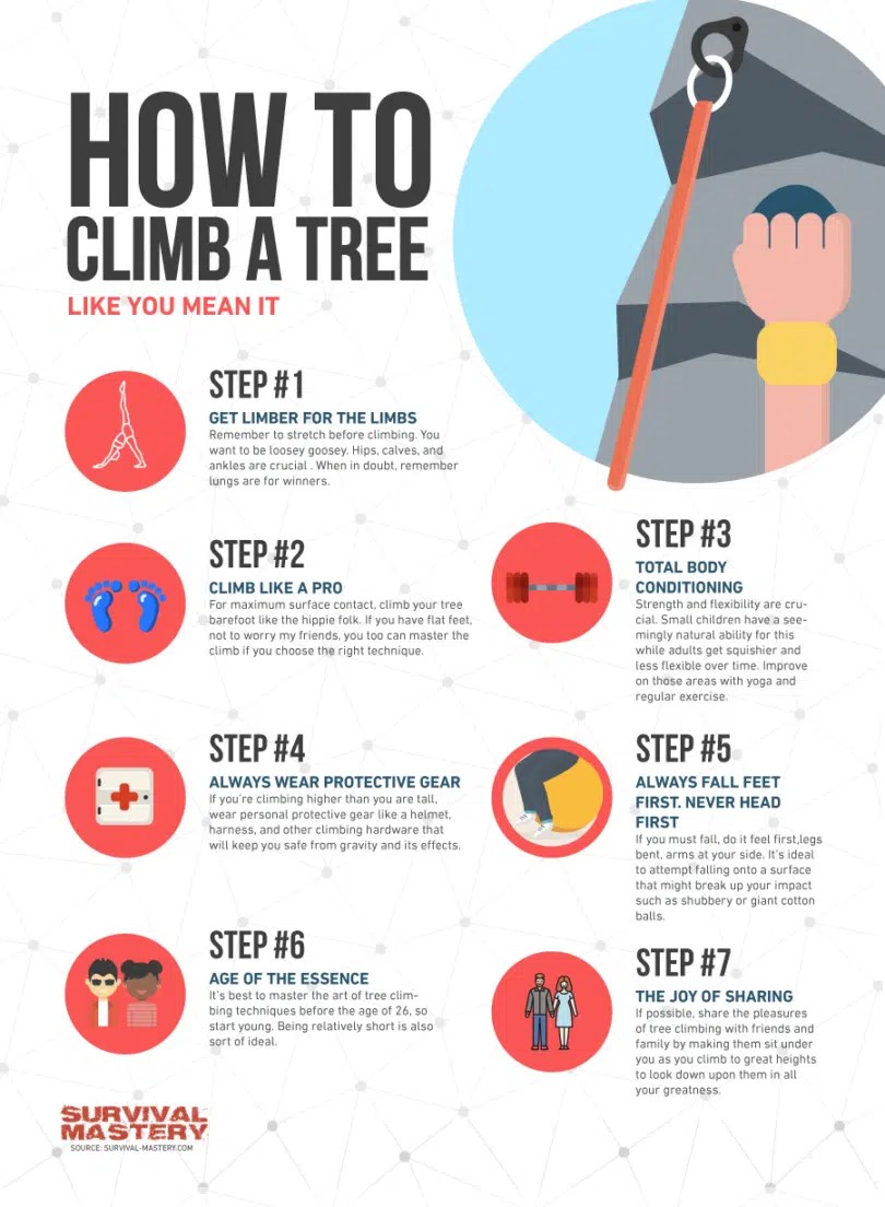 How To Climb A Tree With High Branches at Charles Goulet blog