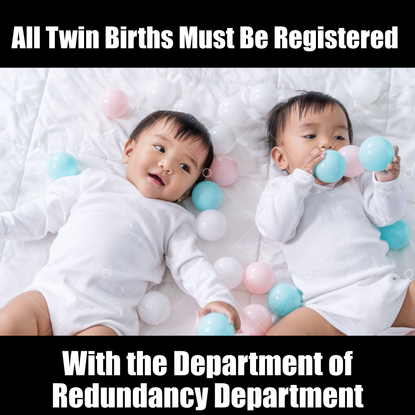JWR Twins Meme Department of Redundancy Department